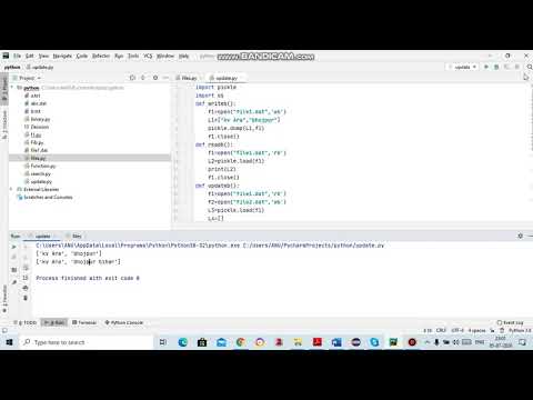 Update operation in Binary File