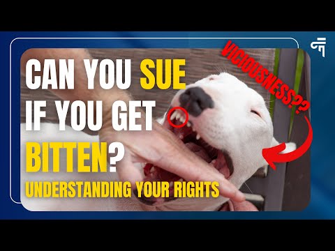 Can You SUE if You Get BITTEN? Understanding Your Rights After a Bite INCIDENT