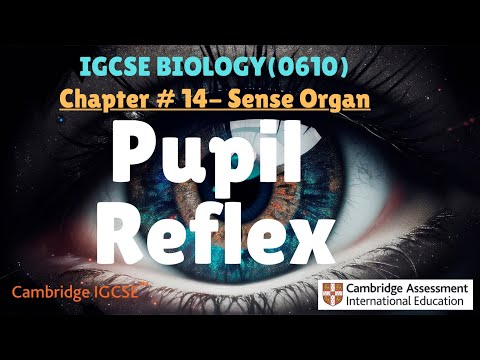 IGCSE Biology|Chapter#14.2 Sense organ(pupil reflex)