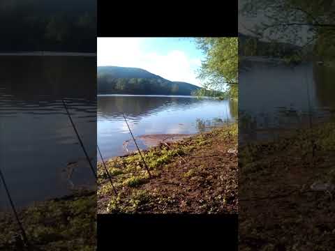 I knew this was a bad idea! Almost lost my rod!😬 #shorts #fishing #catfish #fish