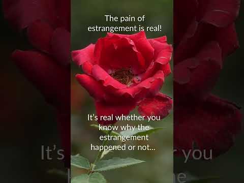 Why Family Estrangement Hurts More Than You Think!