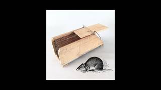 Word of the day: rattrap | Boost up your English vocabulary