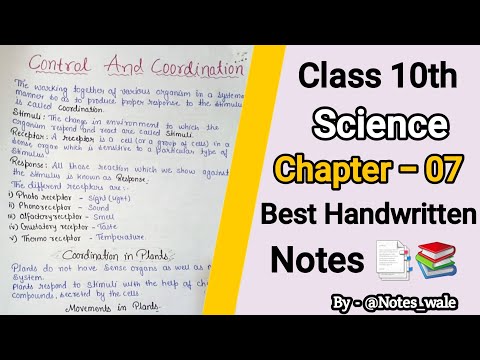 Control and Coordination Notes 📑📚 | Class 10th Biology Chp 2 notes #class10thnotes #noteswale #short