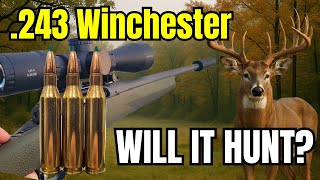 .243 Winchester - Will It Hunt? [Bullet Drop, Scope Dials, Energy and MORE]