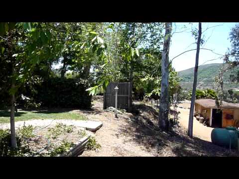 PANASONIC DMC-ZS3 iA MODE HD VIDEO PART I WIND SOUNDS