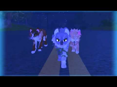 Thanks to red (brown cat) || Wcue Edit