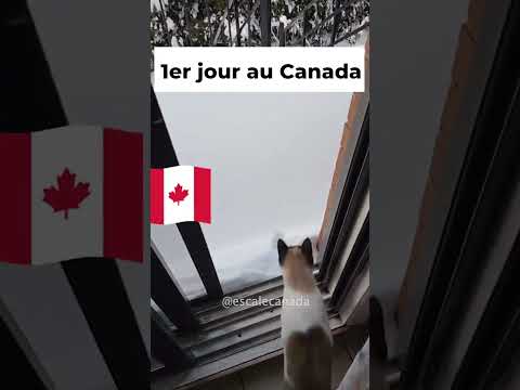 1er jour au Canada 😂