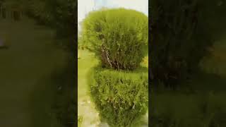 #beatifulsong beautiful  lyrics in park #