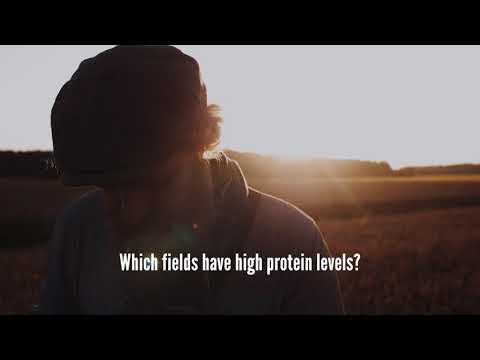 GrainSense - When Harvesting