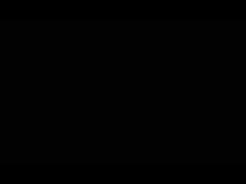 030303
