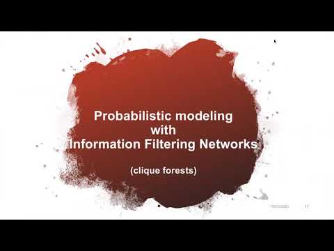 Tomaso Aste - Data-driven modeling of socio-economic systems with networks