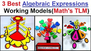 best maths working model on algebraic expressions 2025 - math's tlm - project - diy - craftpiller