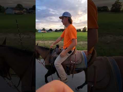 #horses #quarterhorse #horsebackriding #sunset #mytherapy #freedom #calming