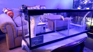 New sump build and plans for my 220 reef tank
