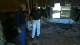 Mold Remediation Expert