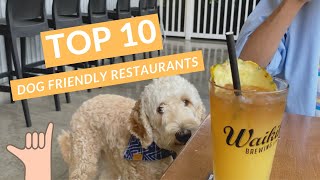 Top 10 Dog Friendly Restaurants in Oahu:  Ep 11