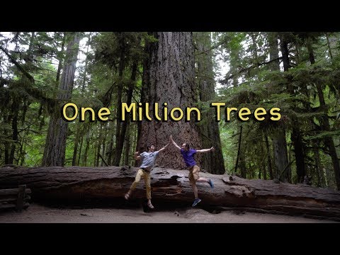 We Saved One Million Trees in the Amazon.