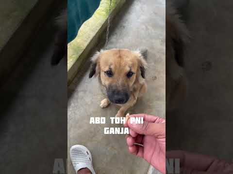 Har mard ka kamjori 😂