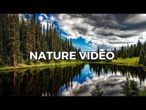 "The Healing Power of Nature: How Spending Time Outdoors Benefits Your Health"
