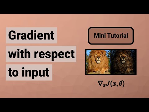 Gradient with respect to input in PyTorch (FGSM attack + Integrated Gradients)