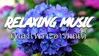 ดนตรีบำบัดความเครียด ผสานเสียงธรรมชาติ ช่วยให้จิตใจสงบ เยียวยาจิตวิญญาณ