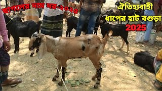 কম দামে ভালো মানের ছাগল কিনুন ||ছাগলের দাম দর-২০২৫||Goat price bd-2025||ধাপের হাট বগুড়া||Dhaper Hat|