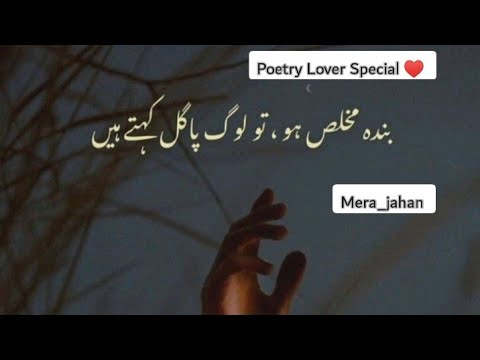 Poetry_love 💕 #mera_jahan #loveislife #poetess