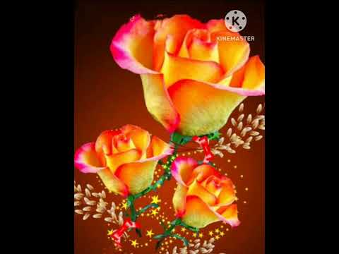 #khairiyatpucho#hindimelodysongsfemalevoice#nomusicsong#chichoremovie