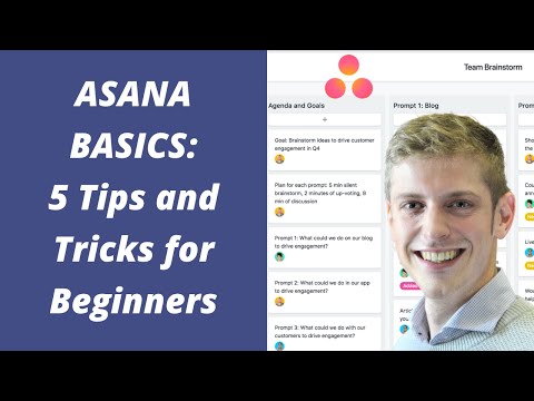 ASANA BASICS: 5 Tips and Tricks for Beginners (Project Management Software)