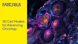 Engineering Organoid Models for Cancer Research