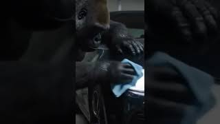 Gorilla Tries Headlight Toothpaste Hack! #LifeHack #ToothpasteHack #GorillaTests #CarHack