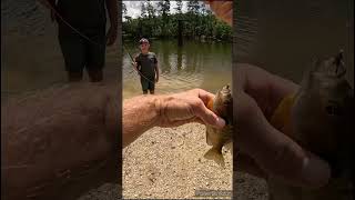 First-time fly fishing adventure #fishing #flyfishing #beginnersluck