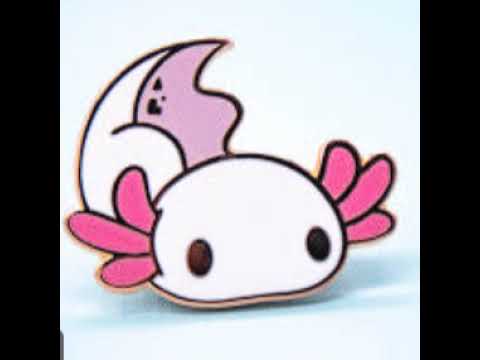 Axolotl Live Stream