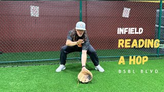 Proper technique for READING A HOP as an infielder. LEARN THIS ASAP!!!