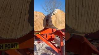 Firewood Processor‼️ #firewood #fast @InT@InTheWoodyardrewoo@FirewoodBlockbuster