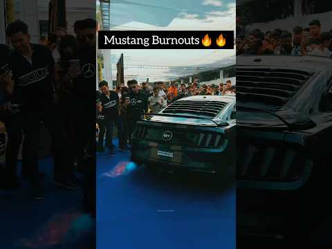 People Go CRAZY Over This Ford Mustang Burnout... Must Watch!