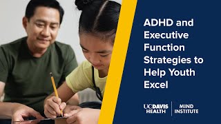 ADHD and Executive Function Strategies to Help Youth Excel (2025)