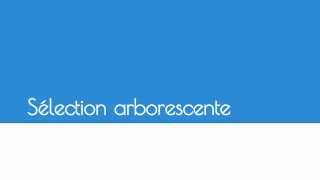 Tutoriel CSS - Sélection arborescente