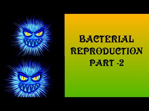 Bacterial reproduction | Class 11 part -2 NEET