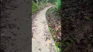 #music #youtubeshorts #trendingvideo #hiking #nature   #hutanwingit  #viewercomments