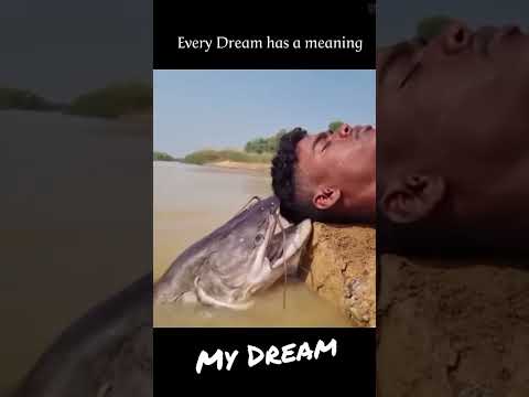 Every dream has a meaning