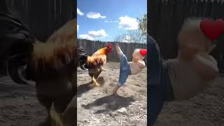 😄😄🐓🐓 #KidsEdTech#AIforKids#PetTech#AnimalIntelligence#KidsAndAI#EdTechKids#SmartKids#KidsLearnAI