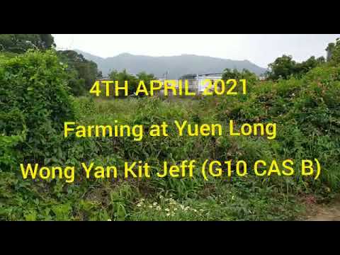 Farming Experience in Yuen Long (4/4/2021)