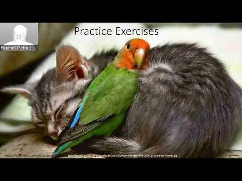 Stats Lecture Exam 2 Review Exercises