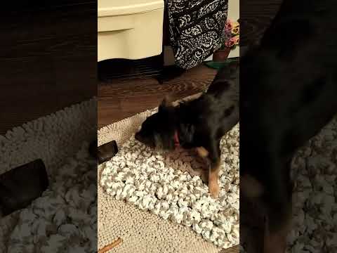 Zeke Snuffle Mat