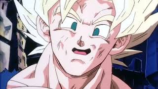 Z Fighters Vs Broly Dub/English