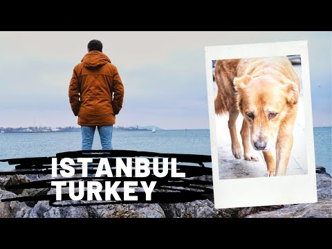Turkey, Istanbul - visiting two continents and one city!