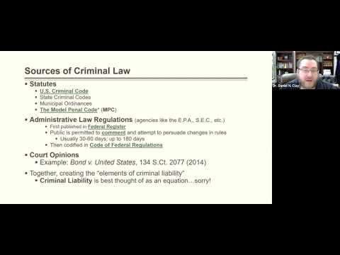 Criminal Law II:  Substantive Criminal Law - Constitutional Restraints on the Law