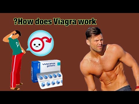 How does Viagra work? / how does the blue pill work