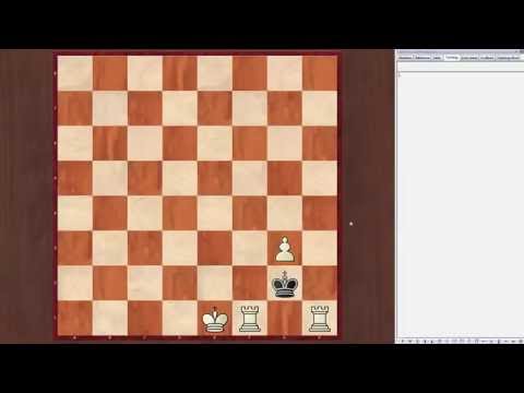 The Best Chess Puzzles # 26 The solutions of the chessbase.com christmas puzzles #1